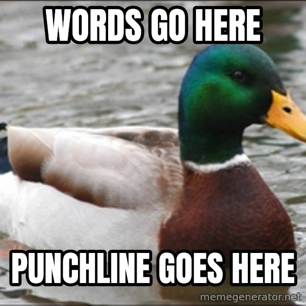 Actual Advice Mallard 1 meme: Words go here / punchline goes here
