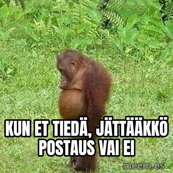 Orangutan Stan meme: Kun et tiedä, jättääkkö postaus vai ei