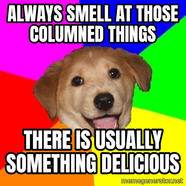 Advice Dog meme: ALWAYS SMELL AT  THOSE COLUMNED THINGS / THERE IS  USUALLY SOMETHING DELICIOUS