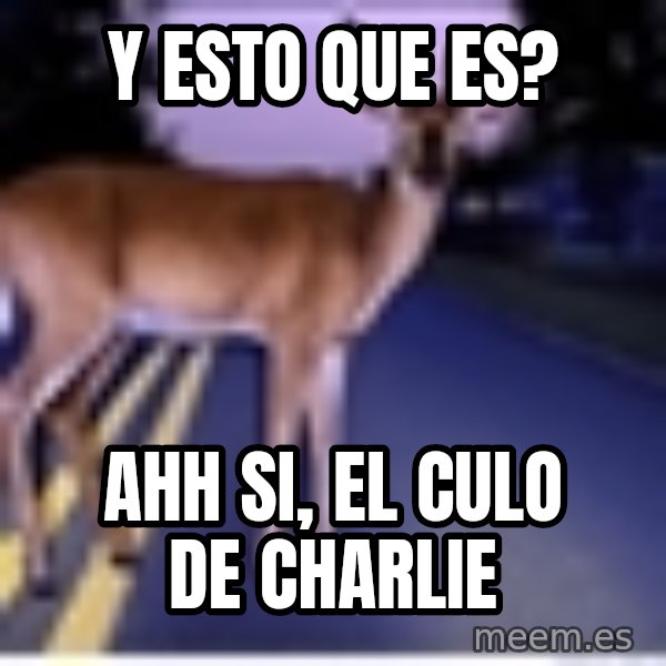 Deer In Headlights meme: Y esto que es? / Ahh si, el culo de Charlie