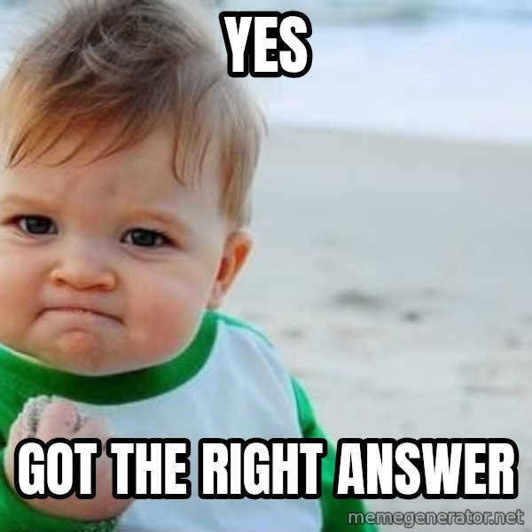 Success Kid meme: YES / GOT the right answer