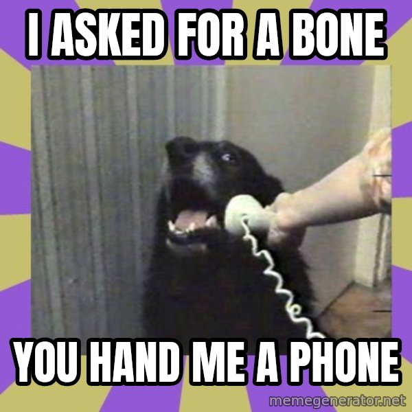 Yes, this is dog! meme: i asked for a bone / you hand me a phone