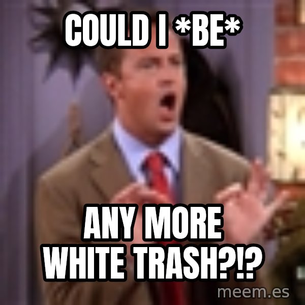 Chandler Bing Could I Be meme: Could I *be* / Any more white trash?!?