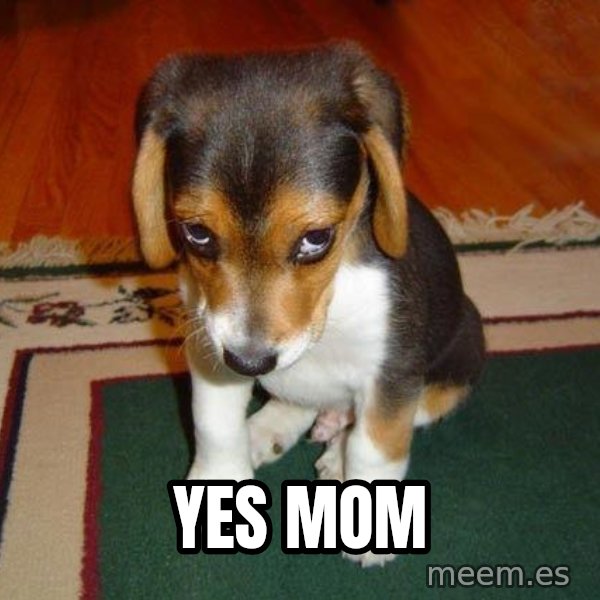 Sad Puppy meme: Yes mom