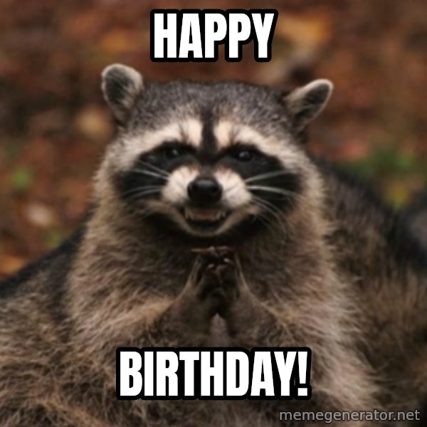 evil raccoon meme: Happy / Birthday!