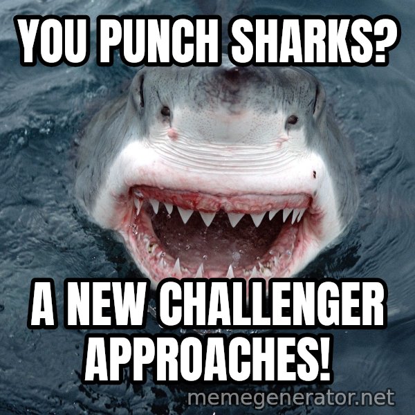 Insanity Shark meme: YOU PUNCH SHARKS? / A NEW CHALLENGER APPROACHES!
