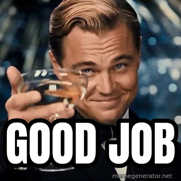 DiCaprio Gatsby meme: good job