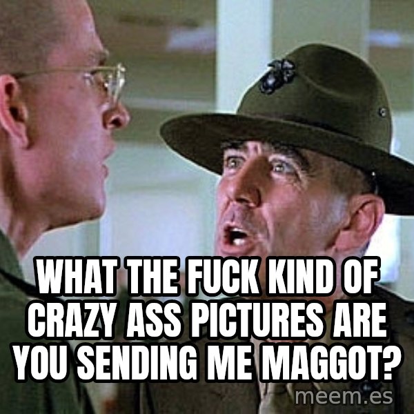 Full Metal Jacket Sgt meme: What the fuck kind of crazy ass pictures  are you sending me maggot?