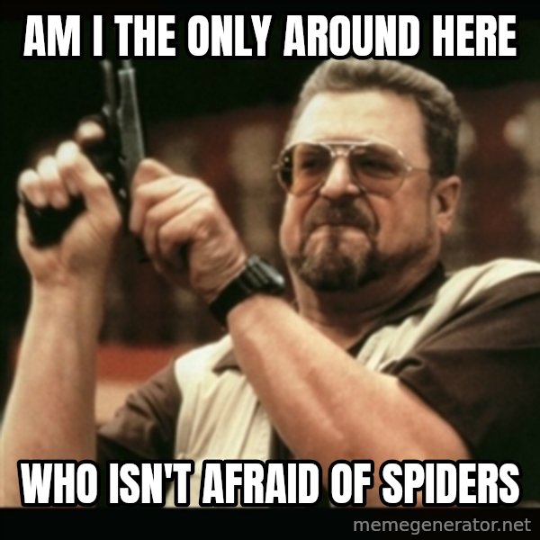 am i the only one around here meme: Am I the only around here / who isn't afraid of spiders