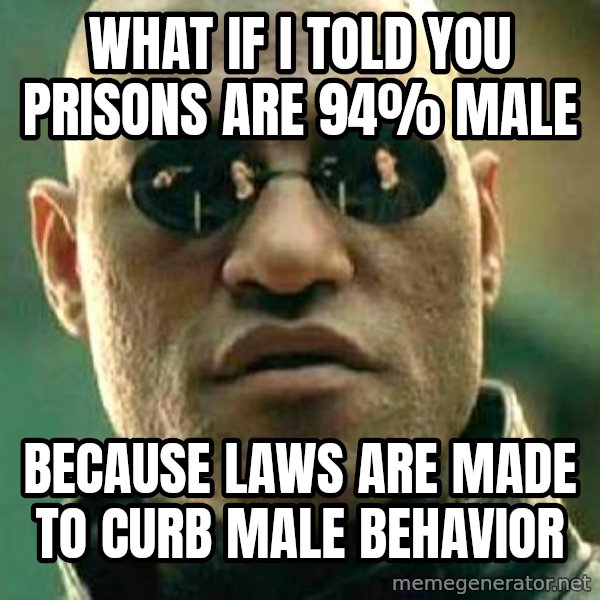 What if I told you / Matrix Morpheus meme: what if i told you prisons are 94% male / because laws are made to curb male behavior