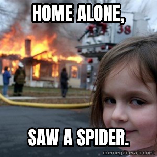 Disaster Girl meme: Home alone, / Saw a spider.