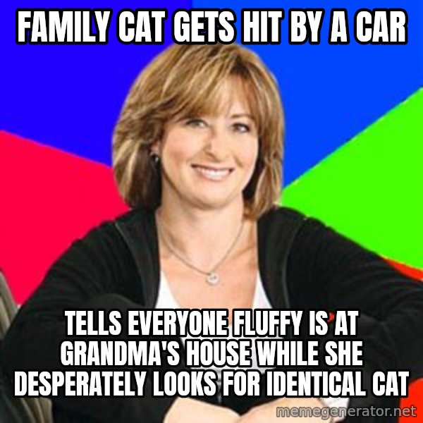 Sheltering Suburban Mom meme: family cat gets hit by a car / tells everyone Fluffy is at grandma's house while she desperately looks for identical cat
