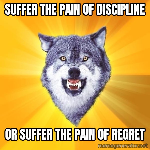 Courage Wolf meme: Suffer the pain of discipline / or suffer the pain of regret