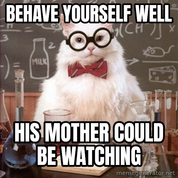 Science Cat meme: Behave yourself well / his mother could be watching