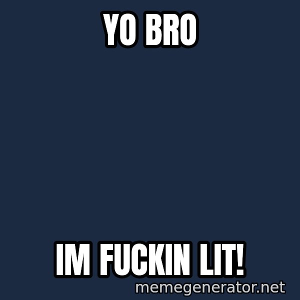 Seal Lit meme: yo bro / im fuckin lit!