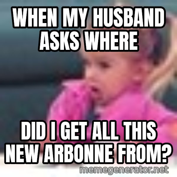 little girl fac3 meme: WHEN MY HUSBAND ASKS WHERE / DID I GET ALL THIS NEW ARBONNE FROM?