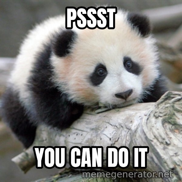 sad panda meme: Pssst / You can do it