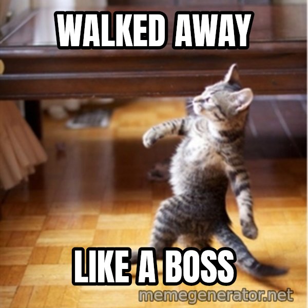 walking cat meme: Walked away / LIKE A BOSS