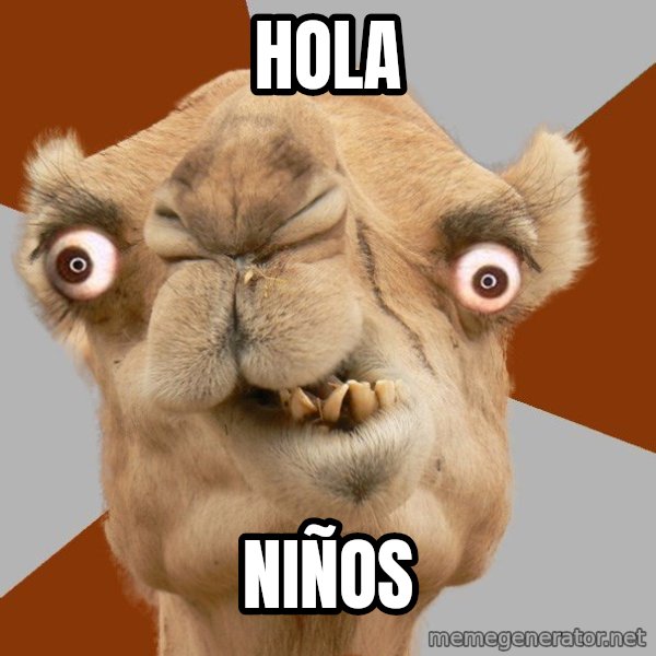 Crazy Camel lol meme: hola / niños
