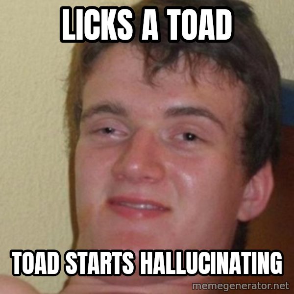 really high guy meme: Licks a toad / Toad starts hallucinating