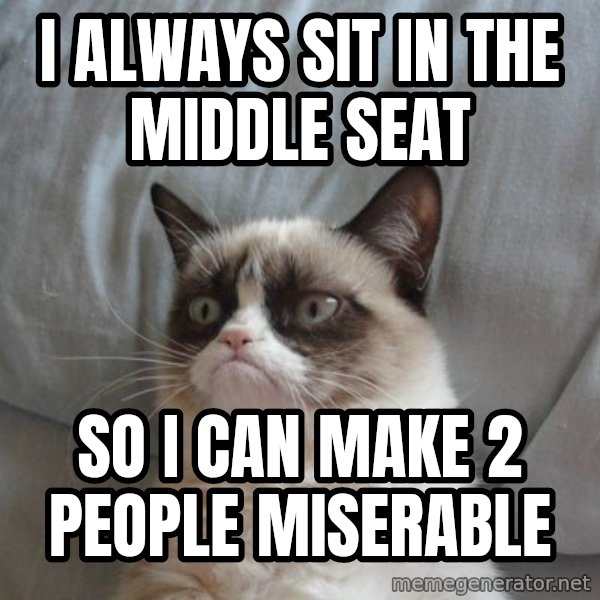 Grumpy cat good meme: I always sit in the middle seat / So I can make 2 people miserable