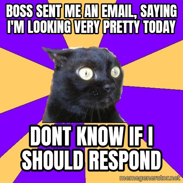 Anxiety Cat meme: Boss sent me an email, saying i'm looking very pretty today / DONT KNOW IF I SHOULD RESPOND