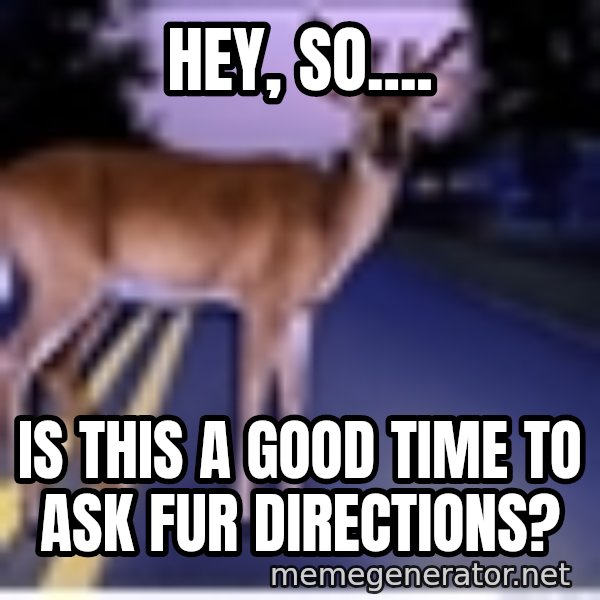 Deer In Headlights meme: Hey, so.... / is this a good time to ask fur directions?