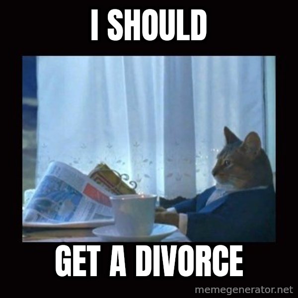 i should buy a boat cat meme: I SHOULD / GET A DIVORCE