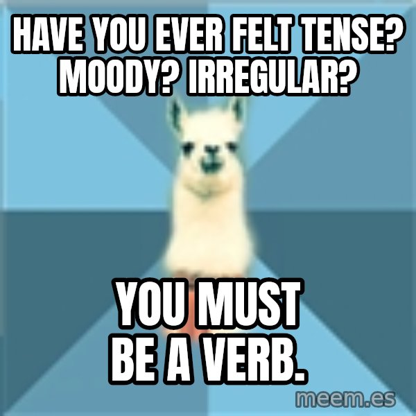 Linguistics Llama meme: Have you ever felt tense? Moody? Irregular? / You must be a verb.