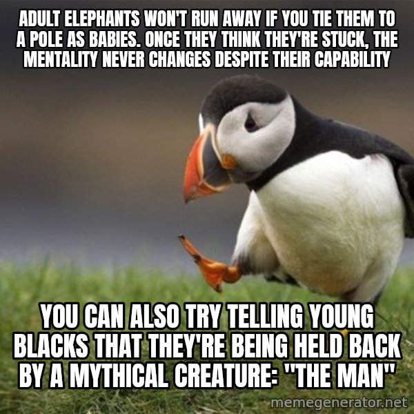 Unpopular Opinion Puffin meme: adult elephants won't run away if you tie them to a pole as babies. once they think they're stuck, the mentality never changes despite their capability / You can also try telling young blacks that they're being held back by a mythical creature: "the man"