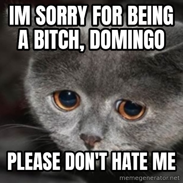 Sadcat meme: Im sorry for being a bitch, Domingo / Please don't hate me