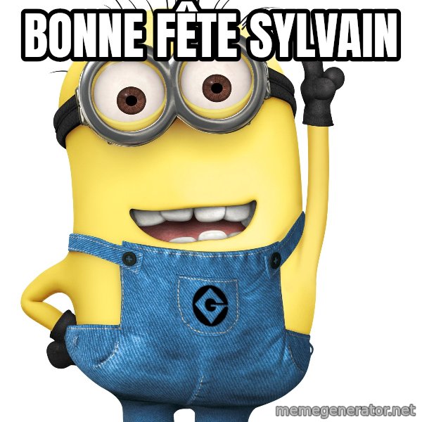 Despicable Me Minion meme: Bonne fête sylvain