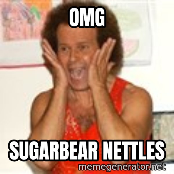 Richard Simmons Screaming meme: omg / sugarbear nettles