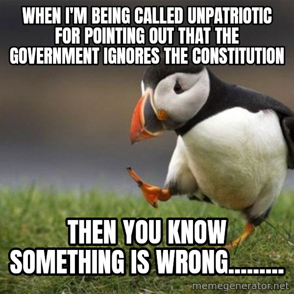 Unpopular Opinion Puffin meme: When I'm being called unpatriotic for pointing out that the government ignores the constitution / Then you know something is wrong.........