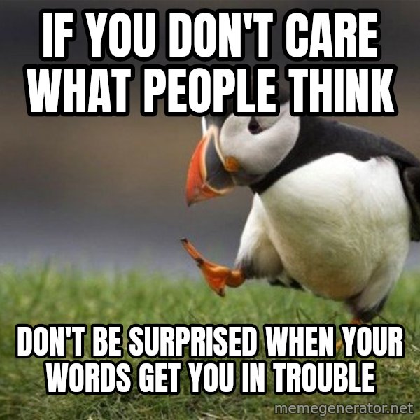 Unpopular Opinion Puffin meme: if you don't care what people think / don't be surprised when your words get you in trouble