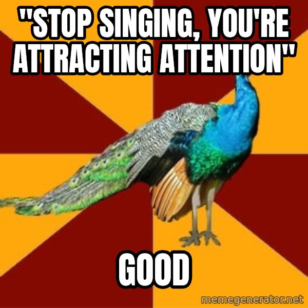 Thespian Peacock meme: "Stop singing, you're attracting attention" / Good