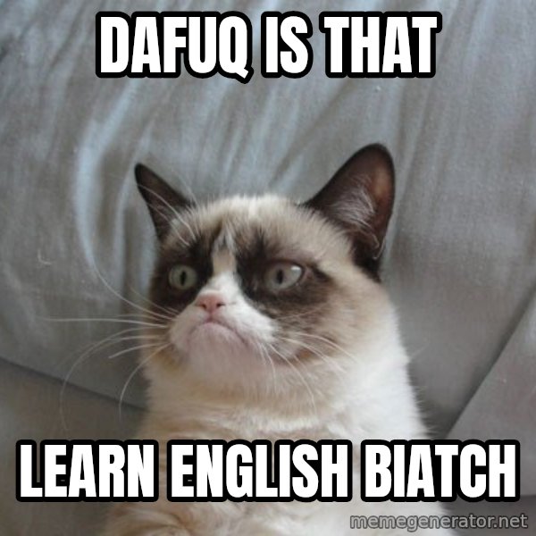 Grumpy cat good meme: dafuq is that / learn english biatch