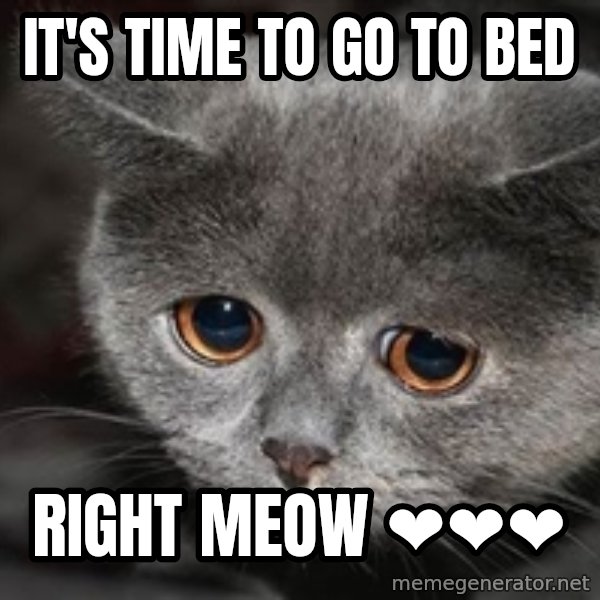 Sadcat meme: It's time to go to bed / Right meow ❤️❤️❤️