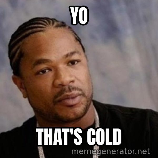 Yo Dawg meme: Yo / That's cold