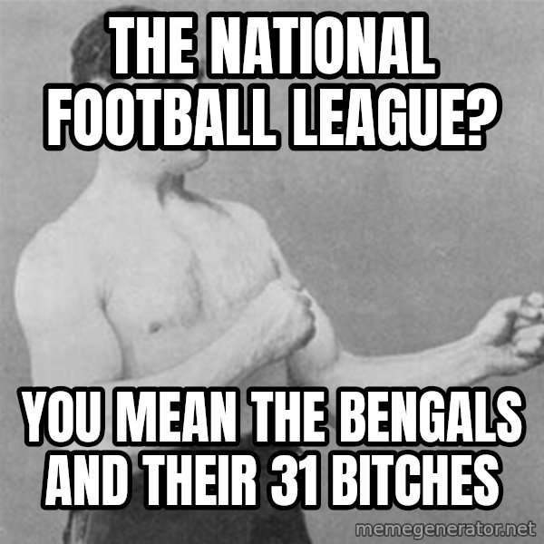 overly manlyman meme: The National Football League? / You mean the Bengals and their 31 bitches