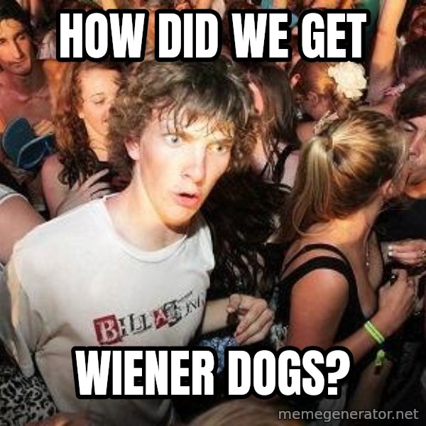 Sudden Realization Ralph meme: How did we get / wiener dogs?