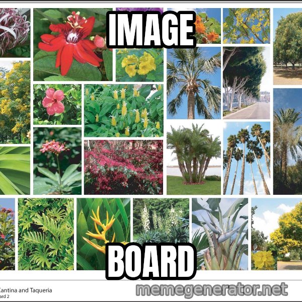 imageboard meme: image / board