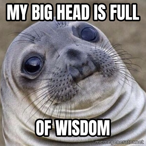 Awkward Seal meme: my big head is full / of wisdom