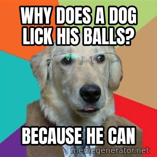 Business Dog meme: why does a dog lick his balls? / because he can