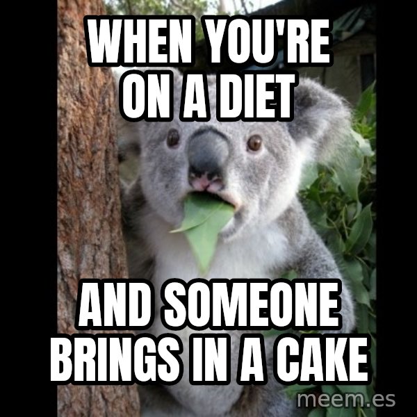 Koala can't believe it meme: When you're on a diet / and someone brings in a cake