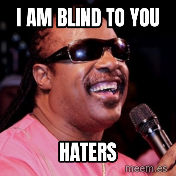 stevie wonder meme: I am blind to you / HATERS