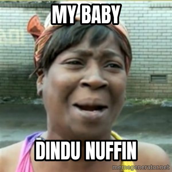 Ain't Nobody got time fo that meme: MY BABY / DINDU NUFFIN