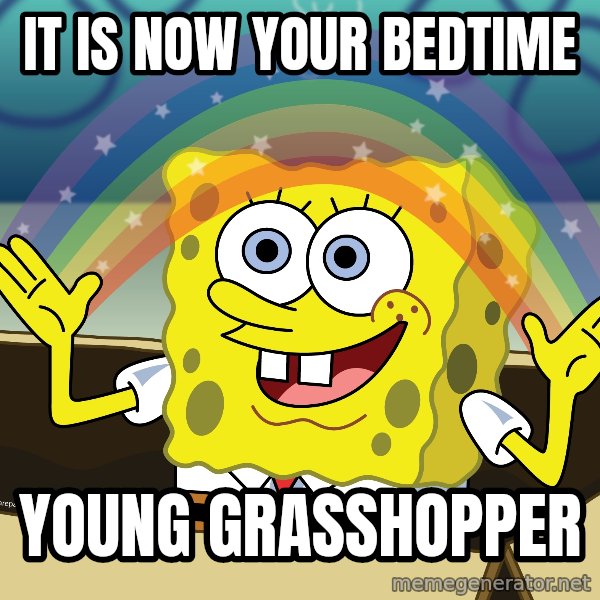 spongebob rainbow meme: IT IS NOW YOUR BEDTIME / YOUNG GRASSHOPPER