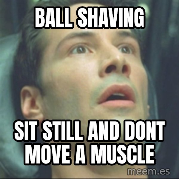i know kung fu meme: ball shaving / sit still and dont move a muscle
