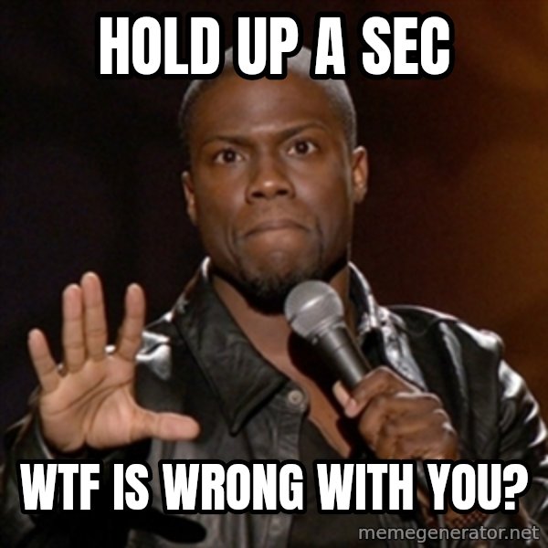 Kevin Hart meme: Hold up a sec / Wtf is wrong with you?